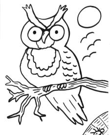 Búho y araña: dibujo para colorear e imprimir