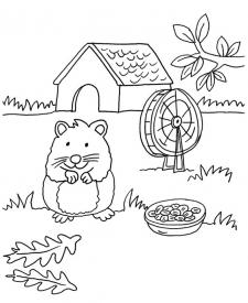Conejo de india y su casa: dibujo para colorear e imprimir