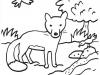 Dibujo infantil de un zorro delante de un riachuelo para imprimir y colorear