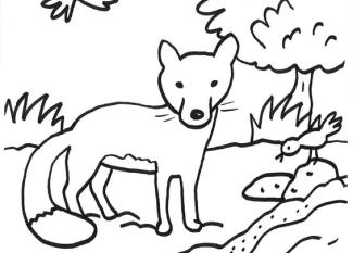 Dibujo infantil de un zorro delante de un riachuelo para imprimir y colorear