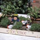 Fabricar un jardín de primavera. Manualidad infantil para regalos