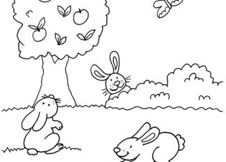 Dibujo para colorear de conejos y mariposa en el campo con flores