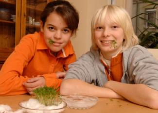 Experimento infantil para cultivar berro sin tierra