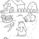 Conejos buscando zanahorias: dibujo para colorear e imprimir