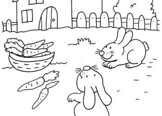 Dibujo para colorear de conejos buscanco zanahorias