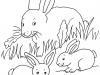 Dibujo para colorear de una mamá conejoy sus bebés conejos