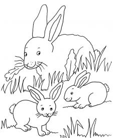 Mamá conejo y sus conejitos: dibujo para colorear e imprimir