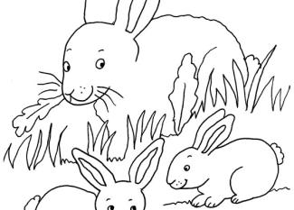 Dibujo para colorear de una mamá conejoy sus bebés conejos