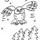 Un búho volando: dibujo para colorear e imprimir