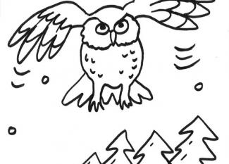 Dibujo para colorear de un búho volando