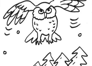 Dibujo para colorear de un búho volando