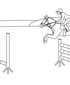 Salto de caballo: dibujo para colorear e imprimir