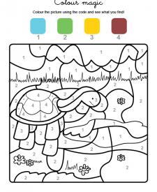 Colour by numbers: una tortuga en el campo