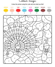 Colour by numbers: un pavo real