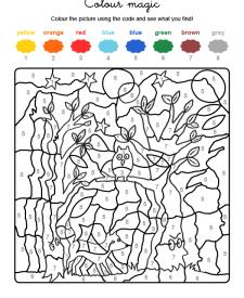 Colour by numbers: fantasma en el bosque