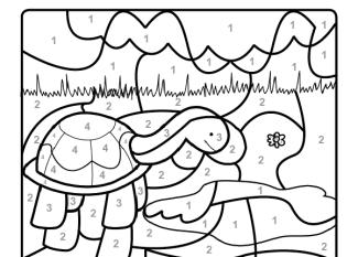 Dibujo mágico para colorear en francés de una tortuga en el campo