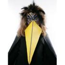 Disfraz de cuervo para Halloween: manualidad infantil