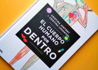 el cuerpo humano por dentro