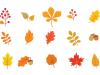 dibujos de hojas de otoño para colorear