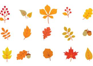 dibujos de hojas de otoño para colorear