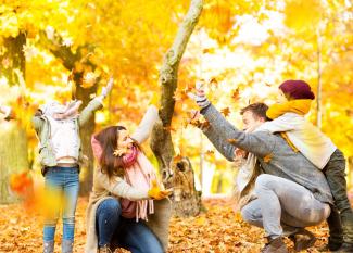 Actividades para explicar el otoño a los niños