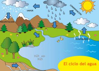 Resumen del ciclo del agua para niños