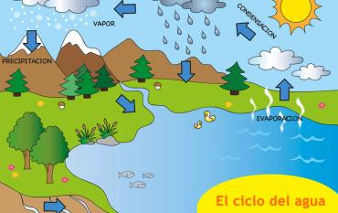 ¿Qué es el ciclo del agua? Resumen para niños