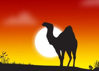 Cómo el camello consiguió su joroba. Cuento para niños de Rudyard Kipling