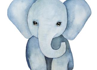 El hijo del elefante. Cuento para niños de Ruydard Kipling