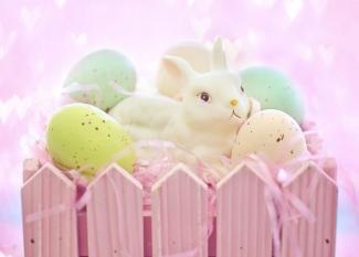 La historia del conejo de Pascua. Tierno cuento para niños
