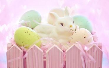 La historia del conejo de Pascua. Tierno cuento para niños