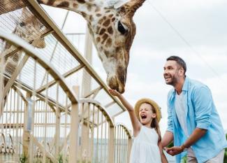 los zoos más impresionantes de España para visitar con niños