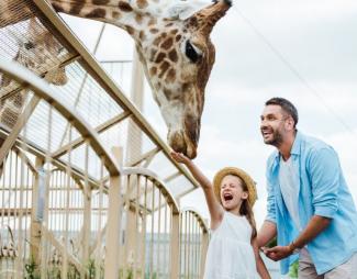 Los 6 zoológicos más impresionantes de España para visitar con niños