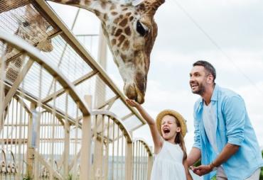 Los 6 zoológicos más impresionantes de España para visitar con niños