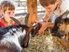 Mejores granjas de España para visitar con niños