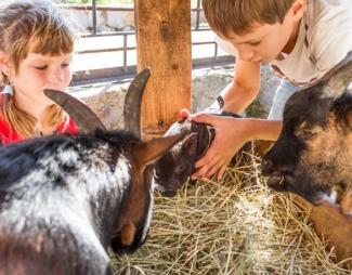 Las 10 mejores granjas de España para visitar en familia