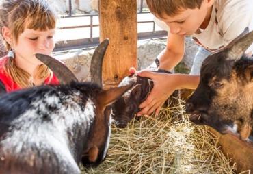Las 10 mejores granjas de España para visitar en familia