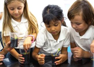 8 divertidos experimentos en el aula para niños de Primaria