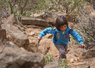 Rutas de senderismo por las Islas Canarias en familia