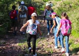 Los mejores rutas para explorar la sierra andaluza en familia