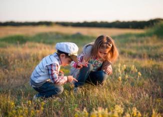 Fantásticas actividades para disfrutar de la naturaleza con niños en vacaciones