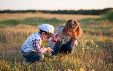 Fantásticas actividades para disfrutar de la naturaleza con niños en vacaciones