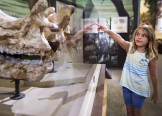 los museos más divertidos para niños de Castilla la Mancha