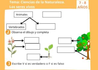 Los seres vivos. Ejercicio de Ciencias Naturales para 2º de Primaria