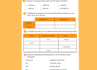 El determinante. Ejercicio de Lengua para niños de Primaria