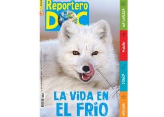 Revista para niños Reportero Doc | Diciembre y enero 2022-2023