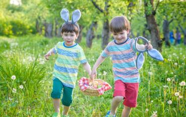 Cómo organizar una búsqueda de huevos de Pascua para niños
