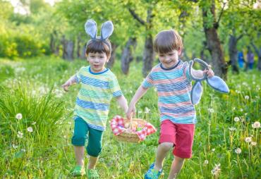 Cómo organizar una búsqueda de huevos de Pascua para niños