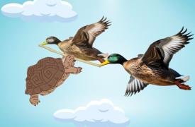 La tortuga y los patos