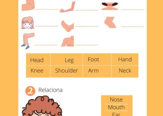 Body Parts: partes del cuerpo y la cara en inglés para niños